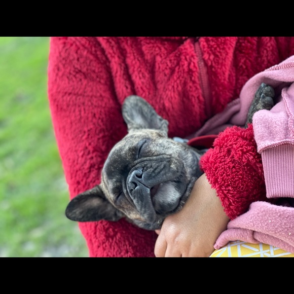 Meet your Posher, Ashley - Picture 1 of 1